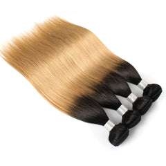 Straight 2 Tone Ombre Hair Bundles - Pure Hair Gaze