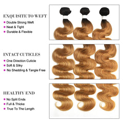 Ombre Blonde Body Wave Human Hair Bundles - Pure Hair Gaze