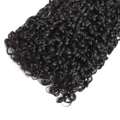 Raw Indian Kinky Curly Human Hair Bundles - Pure Hair Gaze