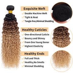 Blonde Colored Curly Human Hair Bundles - Pure Hair Gaze