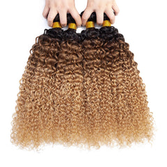 Kinky Curly Brazilian Human Hair Weave Bundles - Pure Hair Gaze