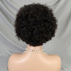 Afro Kinky Curly Human Hair Wig with Braids - Pure Hair Gaze