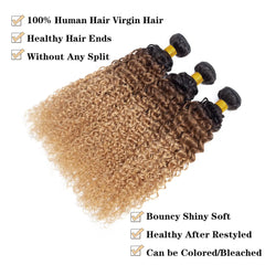 Blonde Colored Curly Human Hair Bundles - Pure Hair Gaze