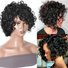 Short Loose Curly Wigs Brazilian Hair Bouncy Waves Pixie Cut Wig Fluffy Curls Bob Wig For Women Human Hair Wigs - Pure Hair Gaze