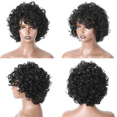 Short Loose Curly Wigs Brazilian Hair Bouncy Waves Pixie Cut Wig Fluffy Curls Bob Wig For Women Human Hair Wigs - Pure Hair Gaze