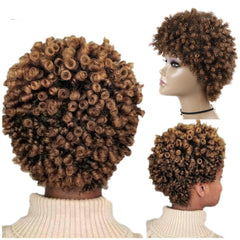 Short Hair Synthetic Wigs Afro Kinky Curly Heat Resistant - Glueless - Pure Hair Gaze