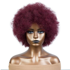 Sassy Short Kinky Wig - Brazilian Human Hair for a Bold Look - Pure Hair Gaze