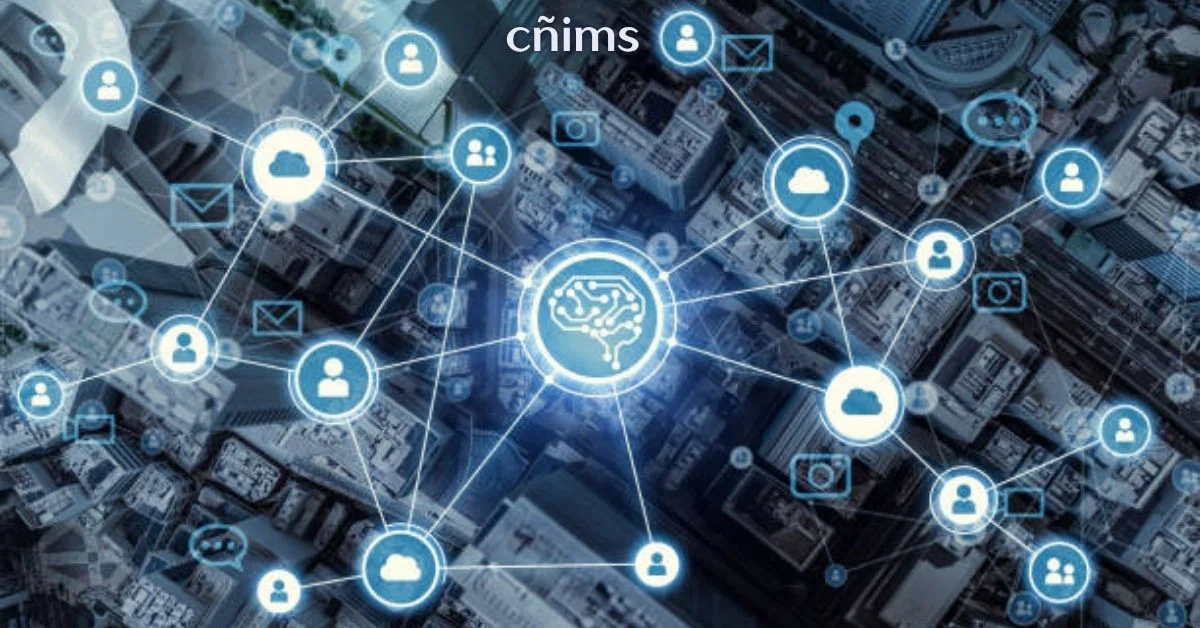 cñims
