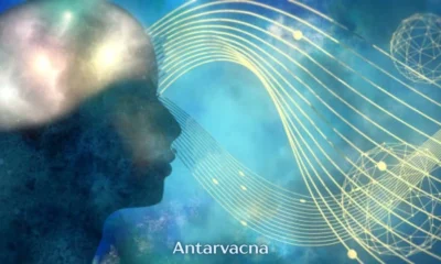 antarvacna