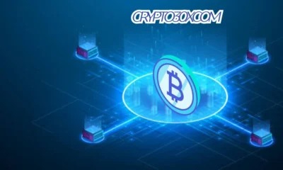 crypto30x.com