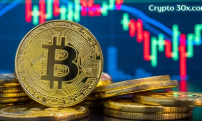 Crypto 30x.com