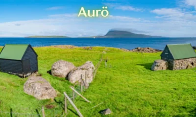 aurö