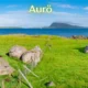 aurö