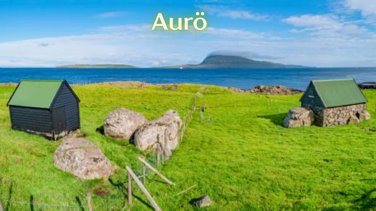 aurö