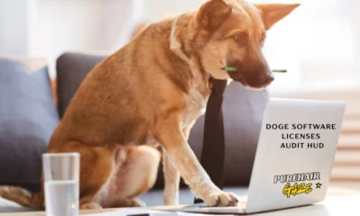 doge software licenses audit hud
