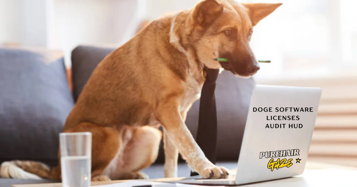 doge software licenses audit hud