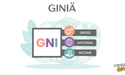 giniä