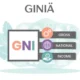 giniä